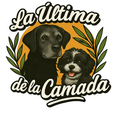 LA ÚLTIMA DE LA CAMADA – EDUCACIÓN CANINA